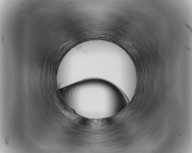 X0000095950623200801110917