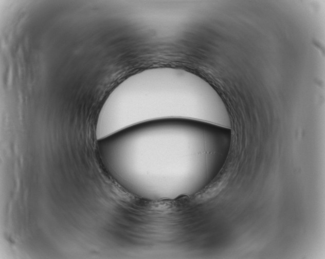X0000095950624200801110917