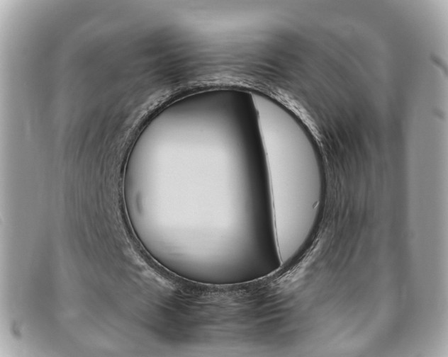 X0000095950625200801110916