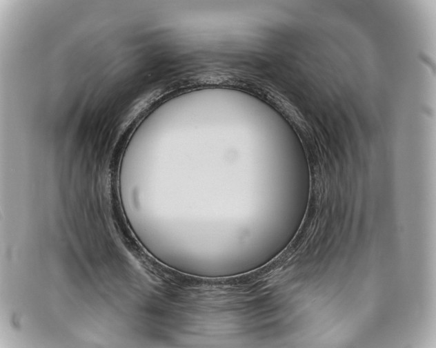 X0000095950626200801110916