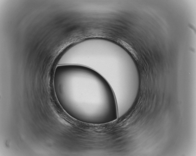 X0000095950627200801110916