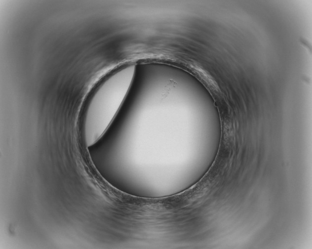 X0000095950628200801110916