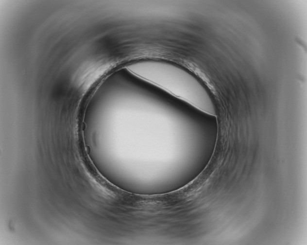 X0000095950629200801110916