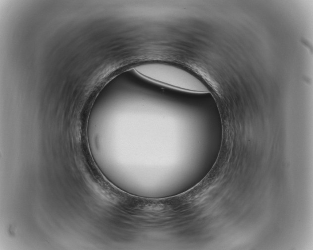 X0000095950631200801110916