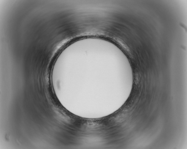 X0000095950632200801110916