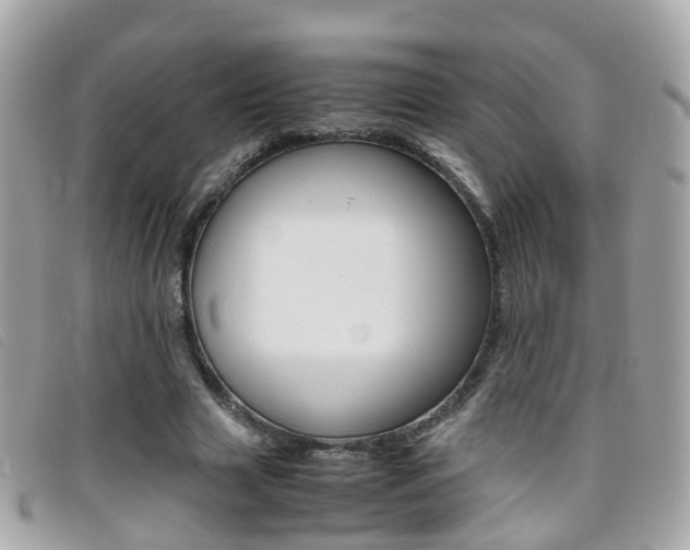 X0000095950633200801110916