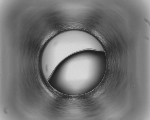 X0000095950634200801110916