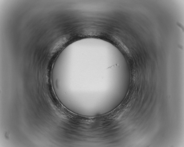 X0000095950635200801110916