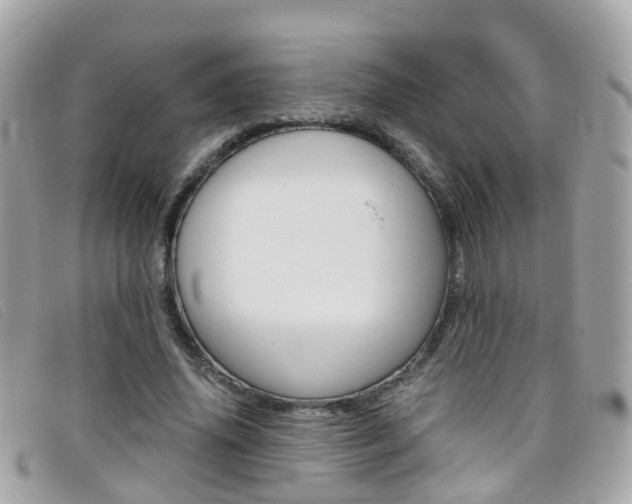X0000095950636200801110916