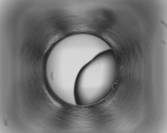 X0000095950638200801110916