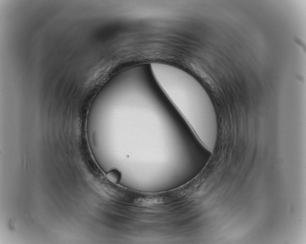 X0000095950639200801110916