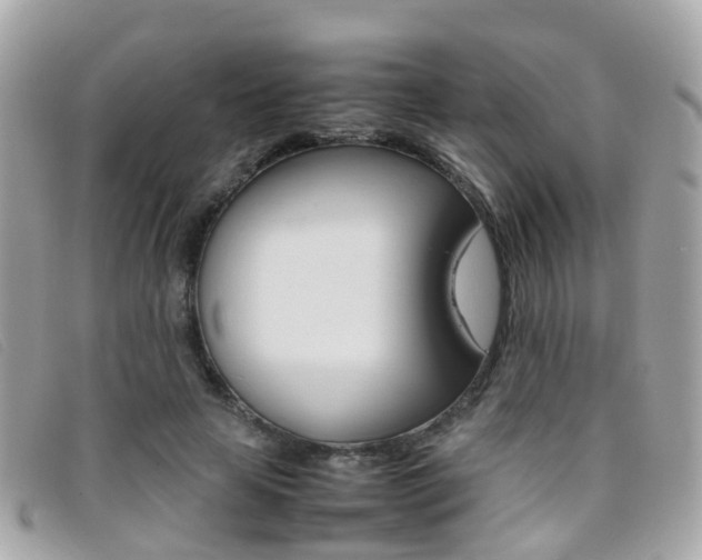X0000095950641200801110916
