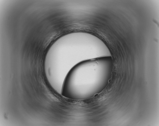 X0000095950642200801110916