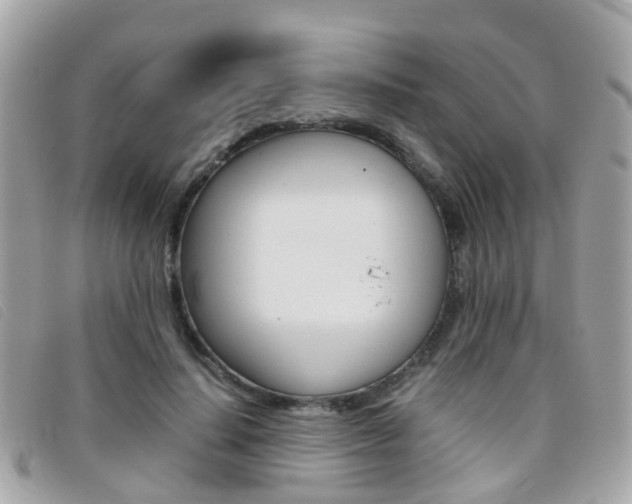 X0000095950644200801110916