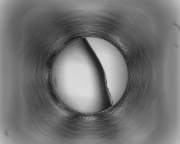 X0000095950645200801110916