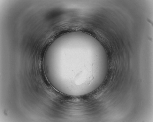 X0000095950646200801110916