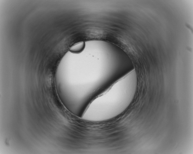 X0000095950647200801110916