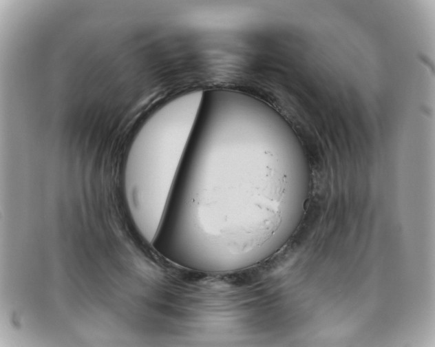 X0000095950648200801110916
