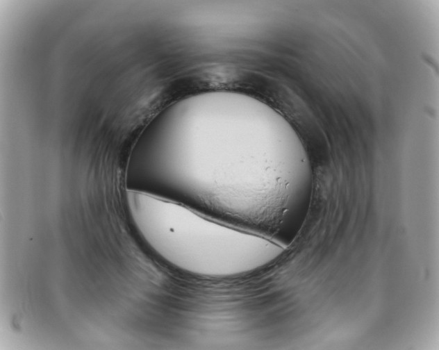 X0000095950650200801110916