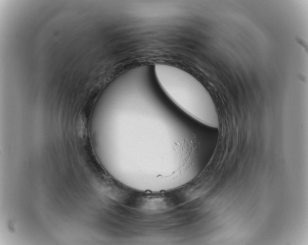 X0000095950651200801110916