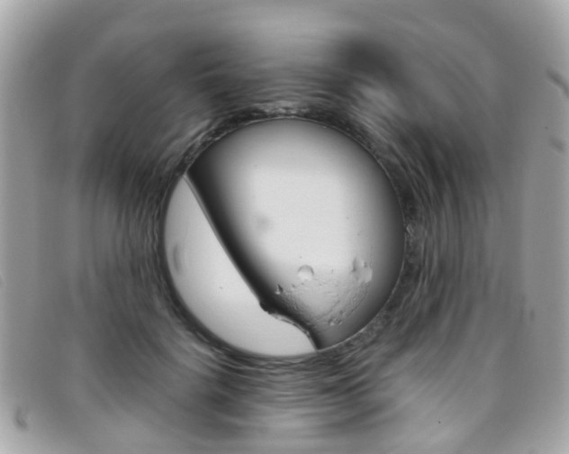 X0000095950652200801110916