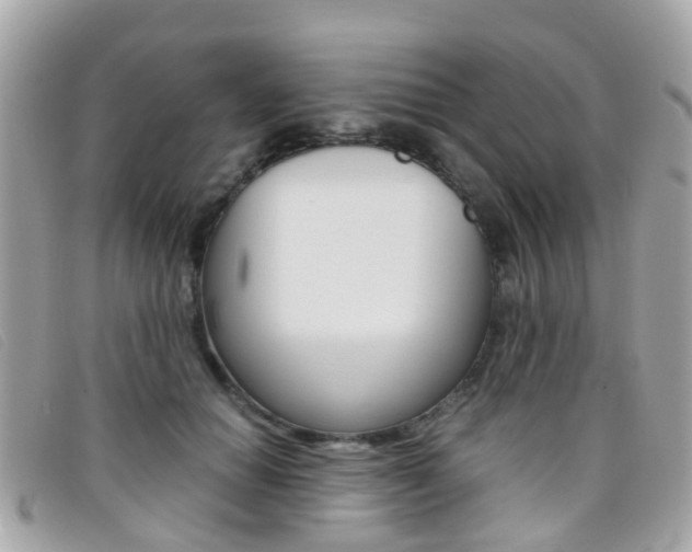 X0000095950654200801110916