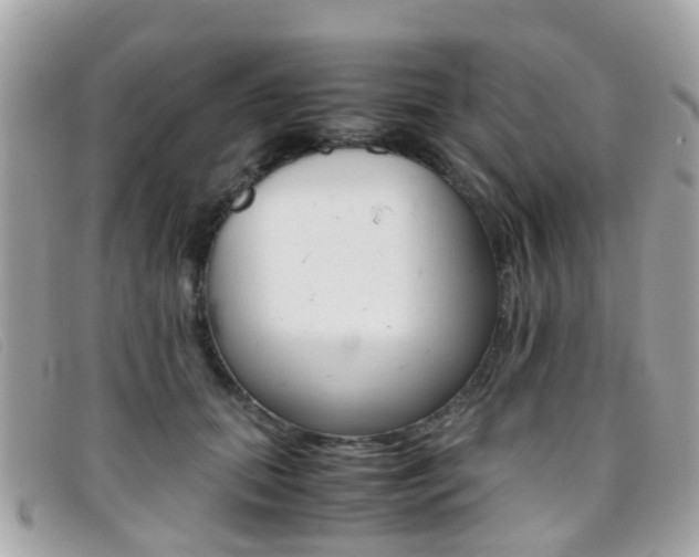 X0000095950655200801110916