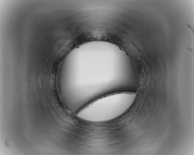 X0000095950656200801110916
