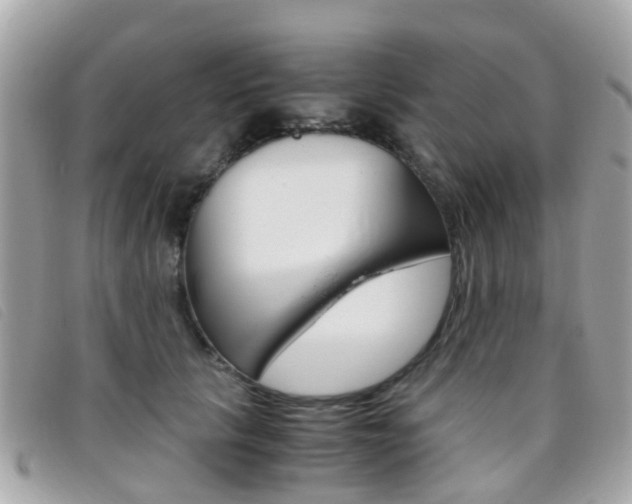 X0000095950657200801110916