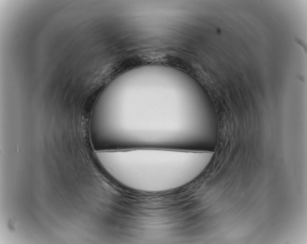 X0000095950658200801110916