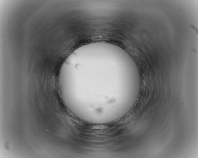 X0000095950659200801110916