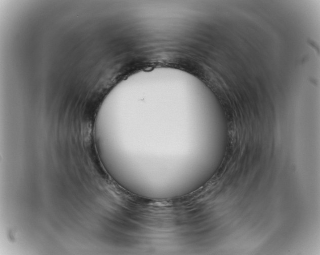X0000095950660200801110916