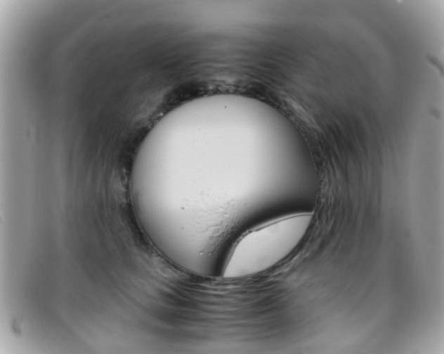 X0000095950661200801110917