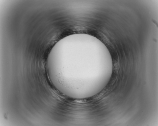 X0000095950662200801110917
