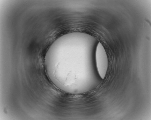 X0000095950663200801110917