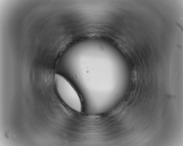 X0000095950664200801110917