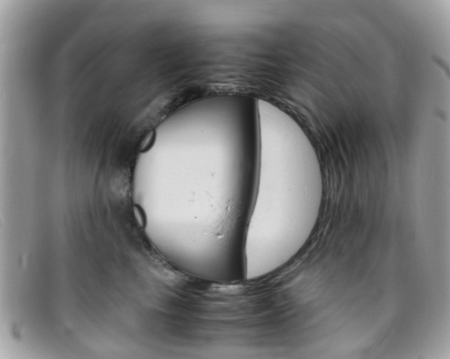 X0000095950665200801110917
