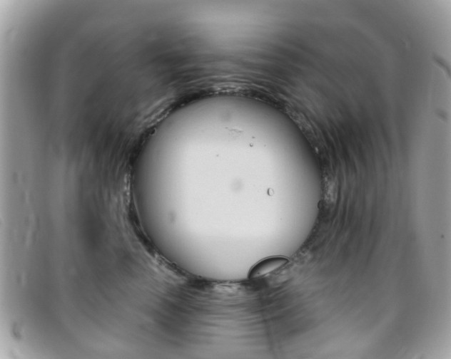 X0000095950666200801110917