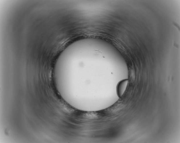 X0000095950668200801110917