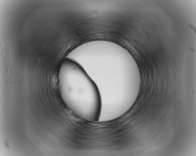 X0000095950669200801110917
