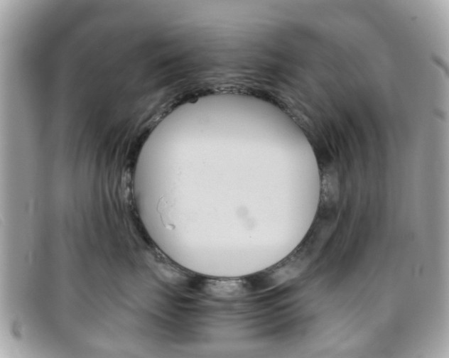 X0000095950671200801110917