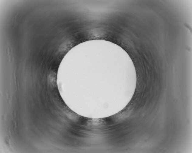 X0000095950672200801110917