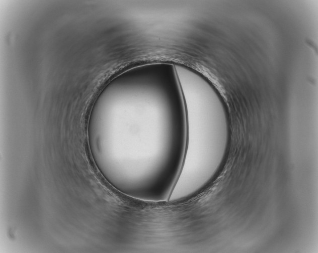 X0000095950673200801110916