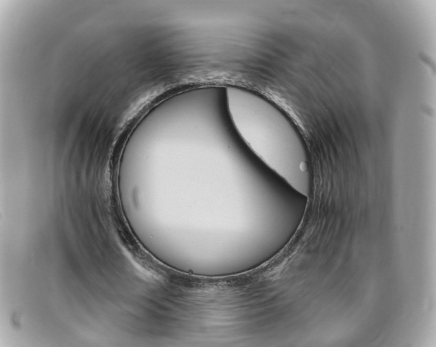 X0000095950674200801110916