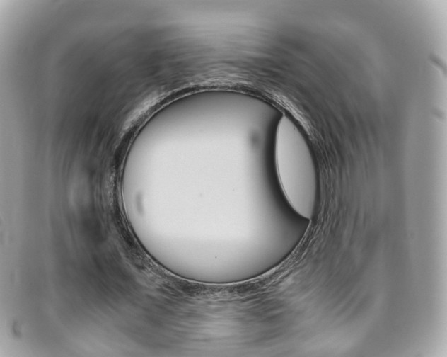 X0000095950675200801110916