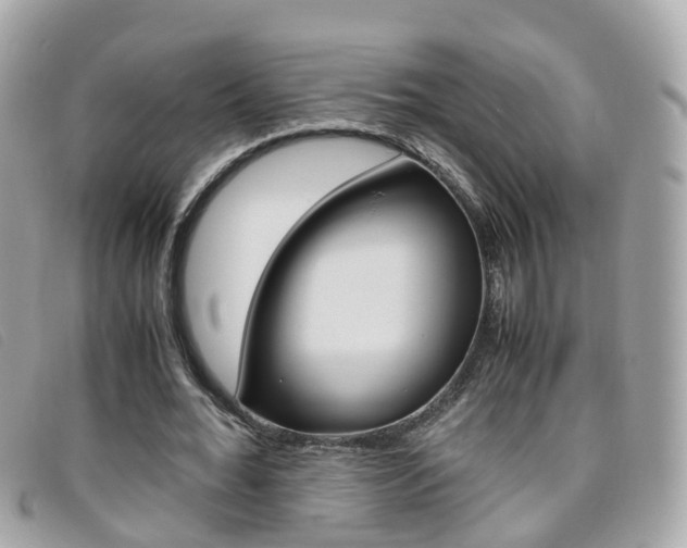 X0000095950676200801110916
