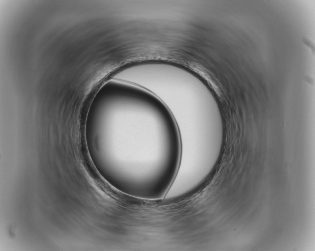 X0000095950677200801110916