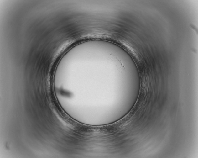 X0000095950678200801110916