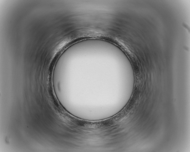 X0000095950679200801110916