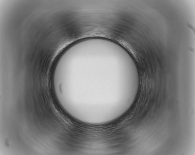 X0000095950680200801110916